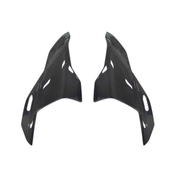vue latérale en fibre de carbone de la BMW S1000RR