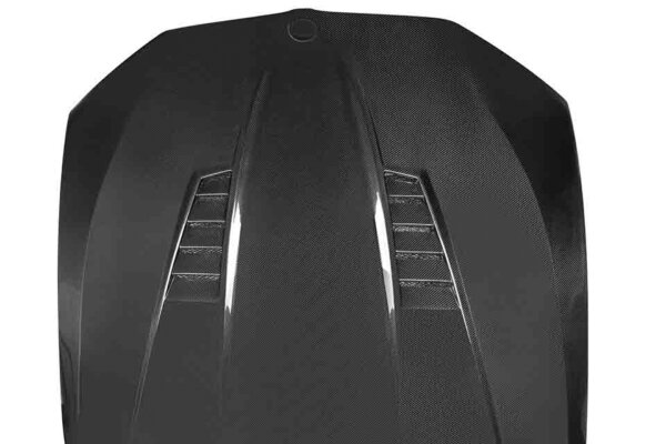 car carbon fiber hood back view